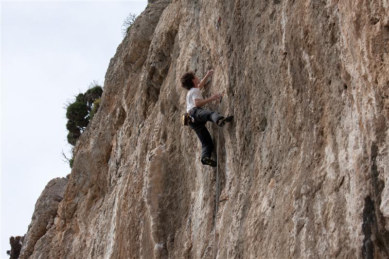 Alex dans Mythos logi !
